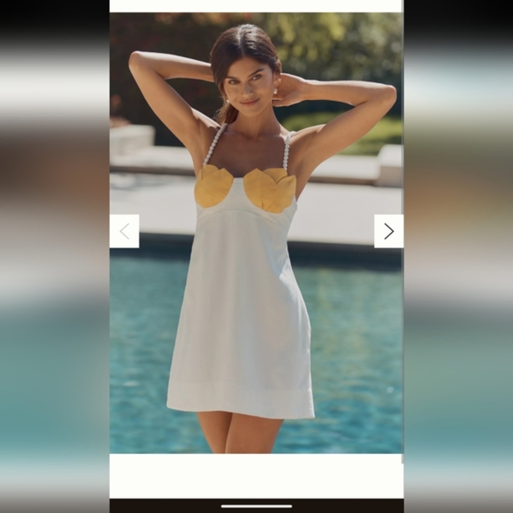 Farm Rio x Anthropologie Linen Blend Mini Dress